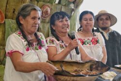 Muestra Gastronómica de Santiago de Anaya 2024 reunirá a mil 500 cocineras tradicionales