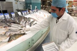 Cuaresma: Vigila Copriseh venta de productos pesqueros en la entidad