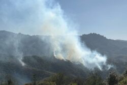 Activos, tres incendios forestales en Hidalgo