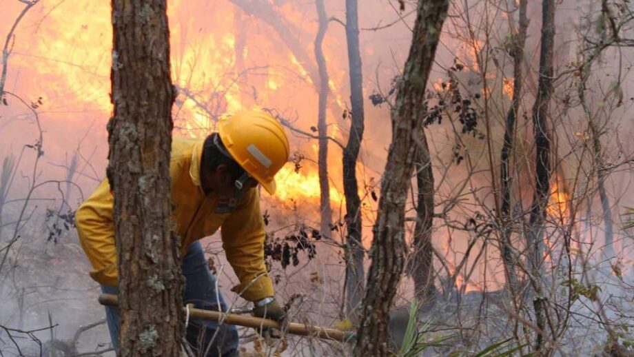 Tulancingo: Por intenso calor, advierten sobre aumento de incendios forestales