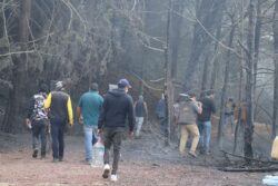 Pese a ’músculo ciudadano’, fuego no cede en El Chico; van 6 hectáreas afectadas