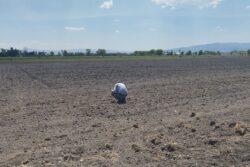 Tulancingo integra diagnóstico sobre afectaciones por sequía