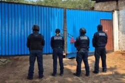 Incautan 13 camionetas “huachicoleras”, armas y drogas en Acaxochitlán
