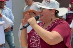 Hidalgo requiere políticas públicas para animales callejeros: Tania Meza