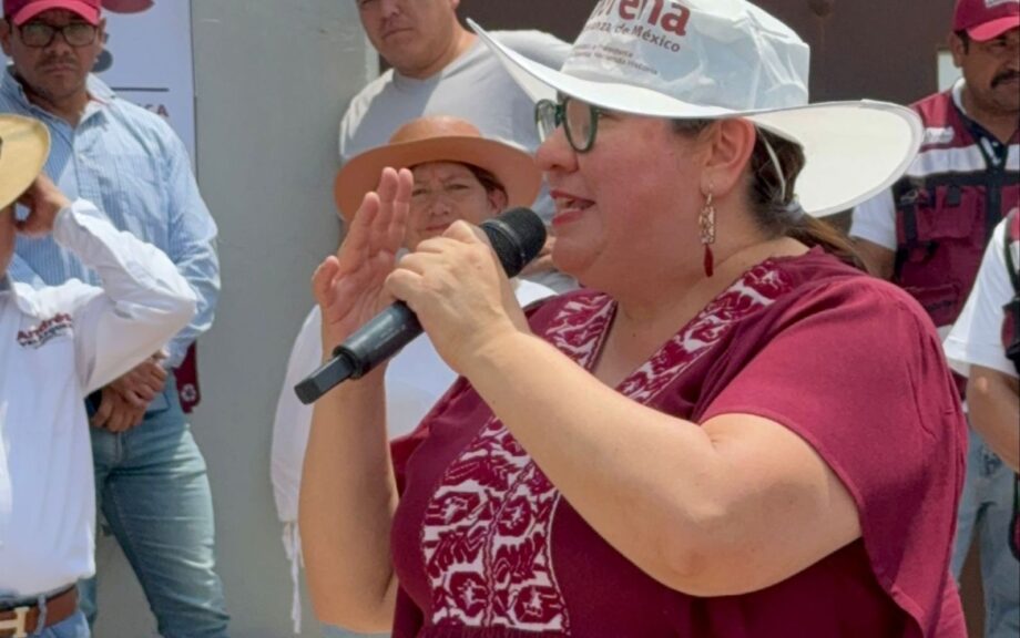 Hidalgo requiere políticas públicas para animales callejeros: Tania Meza