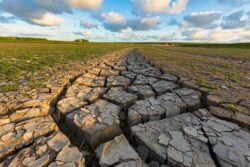 Urge en Hidalgo alerta temprana para detectar sequía, propone diputada del Verde