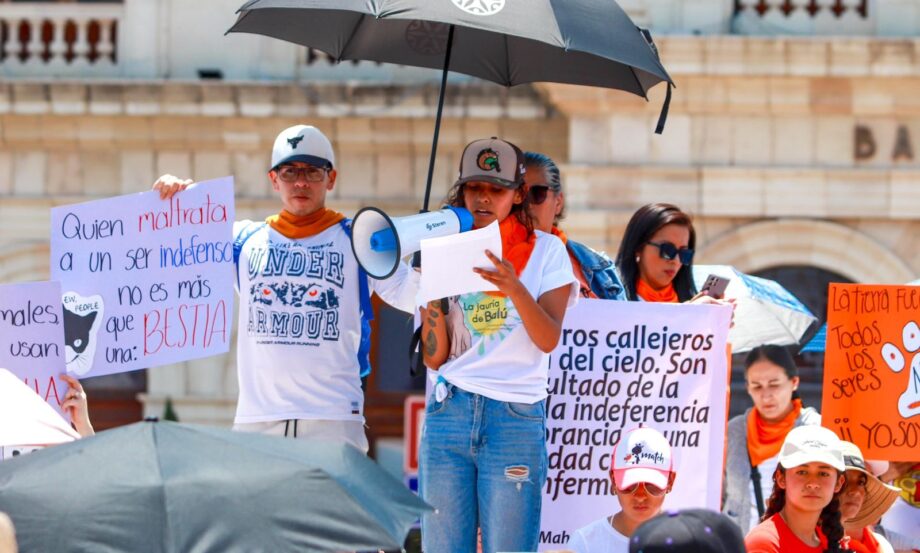 Pachuca: Acusa activista que Protección Civil dejó morir a un perro