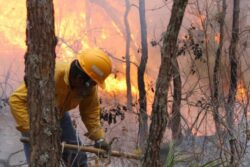 Reportan incendio sin control en comunidades de Lolotla y Molango