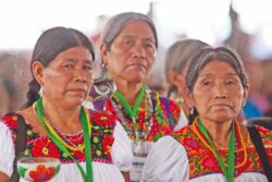 Con aval unánime, Congreso de Hidalgo reconoce derechos de pueblos indígenas y afromexicanos