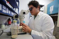 UAEH abre convocatoria 2026 para licenciatura y posgrado