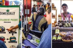 Exposición “Los Campos de Hidalgo” reúne el talento de artesanos y productores locales