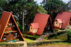 Hidalgo exige “piso parejo”: casi 4 mil Airbnb no pagan impuesto por hospedaje