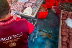 Profeco vigilará precios de pescados y mariscos durante la Cuaresma en Hidalgo