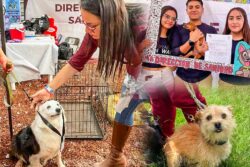 Tulancingo impulsa la Primera Feria de Bienestar Animal