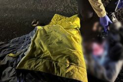 Hallan cadáver arrollado en la México-Pachuca, a la altura de Zapotlán