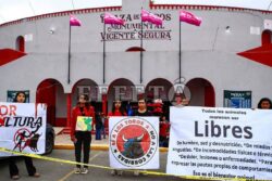 “Es cultura, pero también derechos de los animales”: dependencias optan por punto medio en tauromaquia