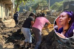 Colegio de Ingenieros acompaña proceso de reconstrucción tras afectaciones por lluvias