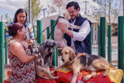 Fundación Nadie Se Queda Atrás dona croquetas para sostener refugio de más de 30 perritos