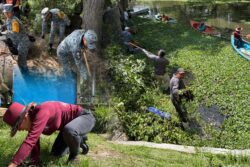 Arranca saneamiento en Tepeji: intervienen cauces para prevenir riesgos en lluvias