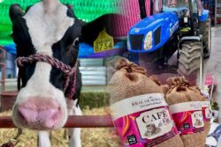 Ganado, música y derrama económica: así arranca la Ganadera Hidalgo Expo Feria 2026