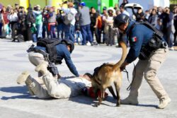 Policía Canina de Mineral de la Reforma cumple cuatro años al servicio de la población