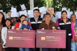 Sebiso y su impacto social