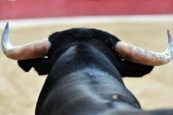 Escala disputa por tauromaquia en Hidalgo: otro amparo y Sedeco aún sin definir opinión técnica