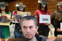 ¡Congreso bajo presión! Partido Verde da ultimátum por corridas de toros en Hidalgo