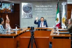 Quitar dietas a representantes de partidos no limita su voz ni su función electoral: TEEH