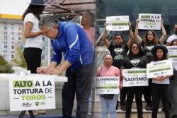 Reúnen firmas en Pachuca para destrabar iniciativa contra la tauromaquia