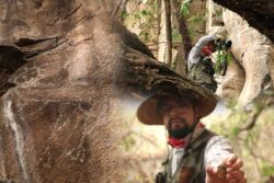 Hallan arte rupestre de más de 4 mil años en zona del tren México-Querétaro