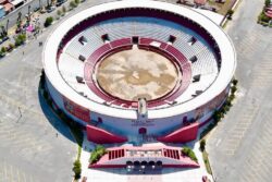 Congreso abre puerta a consulta sobre tauromaquia, pero avanza contra reloj para dictaminar