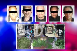 Detectan y desmantelan dos narcotiendas en Pachuca: cinco detenidos