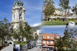 Reviven la Plaza Independencia: reforestan para recuperar sombra y mejorar su imagen