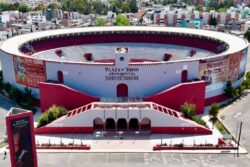 El Congreso prepara foros regionales para debatir sobre las corridas de toros