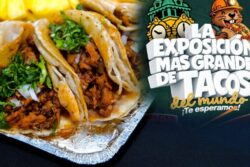 Pachuca: Más de 40 taquerías y un récord mundial en la Gran Feria del Taco 2026