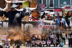 Señalan a diputados tras avalar consulta sobre tauromaquia; protestan en Pachuca
