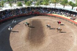 Juez decidirá un día antes si frena corrida de toros en Huichapan