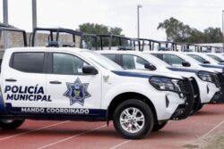 Seguridad pública