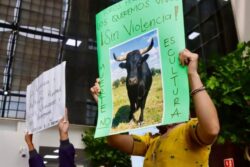 PRI acusa presencia de grupos de choque en foro taurino del Congreso de Hidalgo