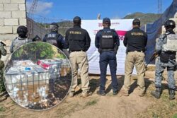 Operativo en Singuilucan revela presunto centro de huachicol y narcomenudeo