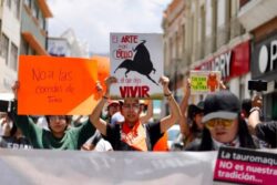 Biofutura impugna consulta sobre tauromaquia ante el Tribunal de Justicia de Hidalgo