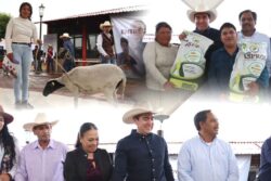 Fortalece Hidalgo al campo con apoyos agrícolas y ganaderos en Tulancingo y Eloxochitlán