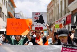 Consulta sobre tauromaquia aún no tiene presupuesto garantizado en Hidalgo: Hacienda
