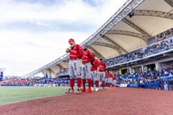 Diablos volubles