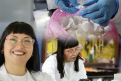Alumna de la UAEH transforma cáscara de huevo en material para regenerar dientes