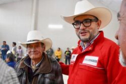 Tauro política