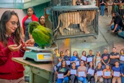 Refuerza Pachuca capacitación y conservación de fauna; suma 28 ejemplares liberados en 2026