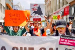 Consulta sobre tauromaquia entra en fase decisiva; Derechos Humanos no descarta impugnar resolución