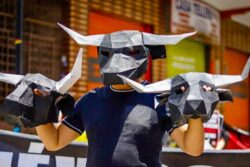 Toros y Mundial